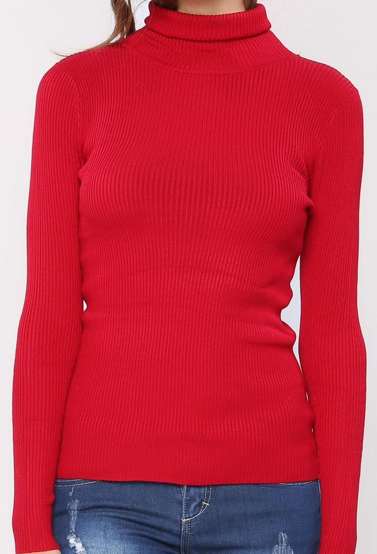 Ribbed Knit Turtleneck Sweater
