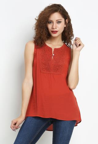 Lace Paneled Top
