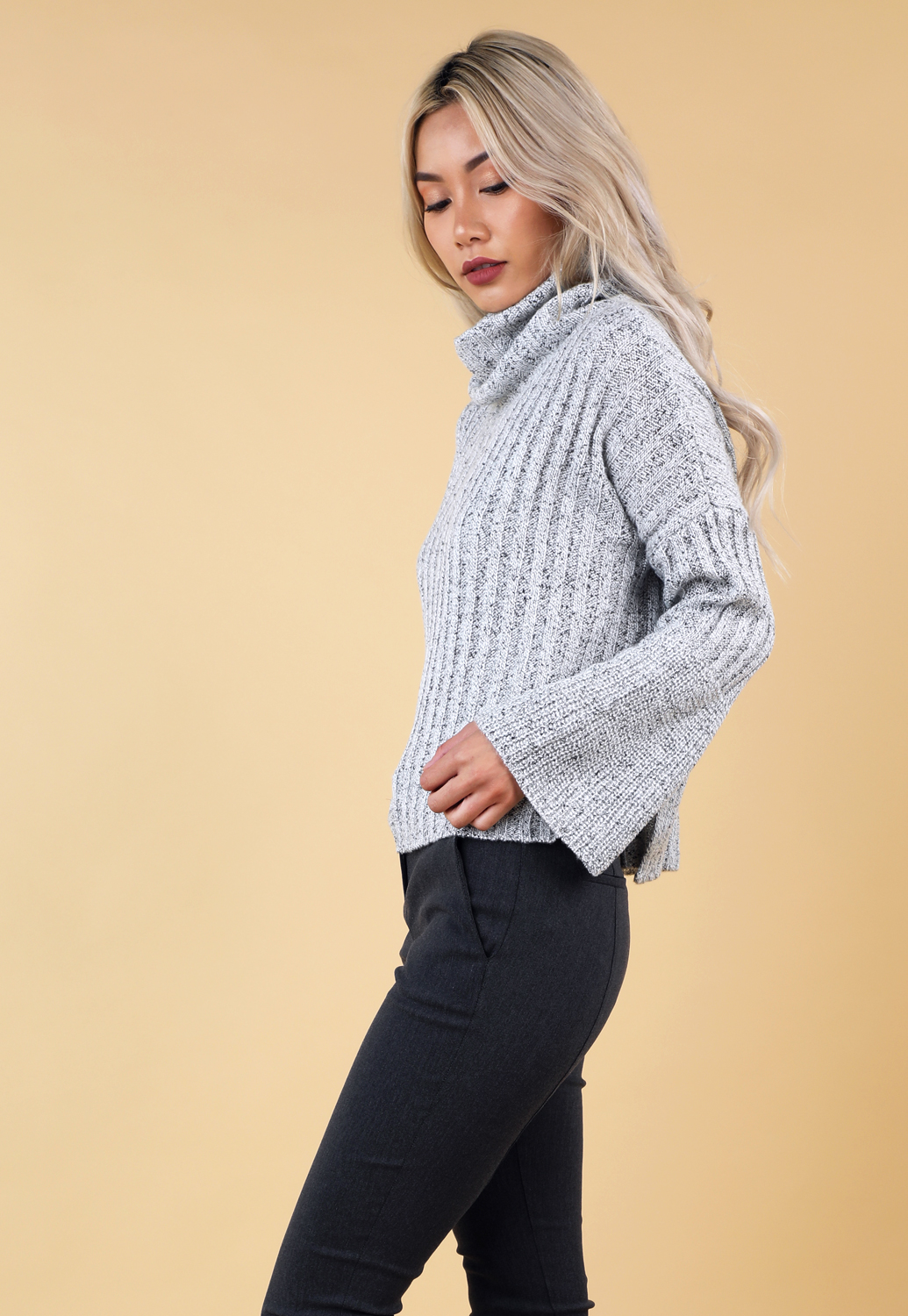 Turtleneck Knit Sweater 