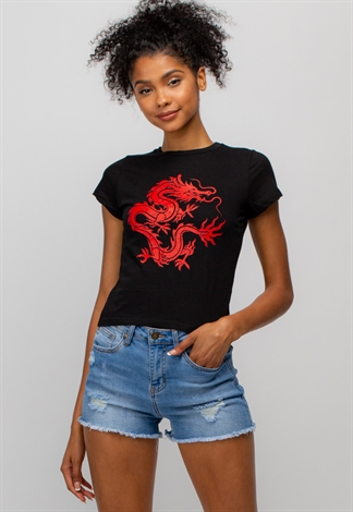 Dragon Graphic T-Shirts