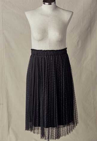 Pleated Mesh Skirt